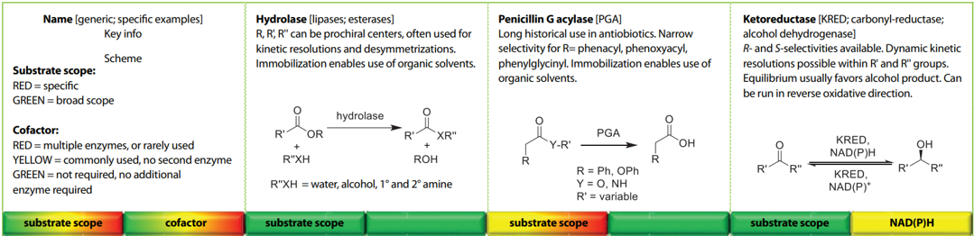 The top row of the biocatalysis guide PDF from the GCIPR.