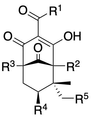 Structure 207: hyperforatum D, kielmeyeracin, spiranthenone B and others — B, bicyclononanes, exo