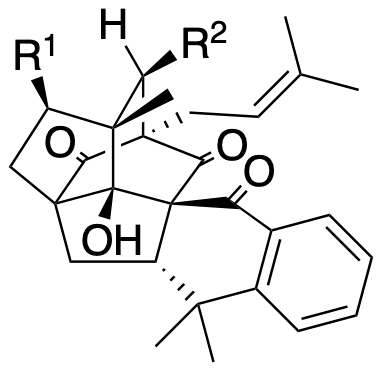 Structure 325: garcibracteamone H, burlemarxione H, hyperforcinol A — caged, fourPlusTwo