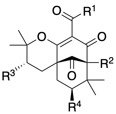 Structure 242: oblongifolin W, 13,14-didehydroxy-7-epi-isogarcinol, 14-deoxy-7-epi-isogarcinol and others — B, bicyclononanes, exo