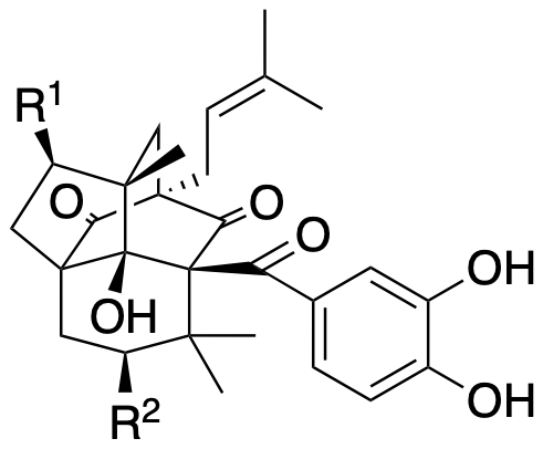 Structure 308: (&minus;)-garcimulin A, (+)-garcimulin A, garcimulin B and others — A, bicyclononanes, caged