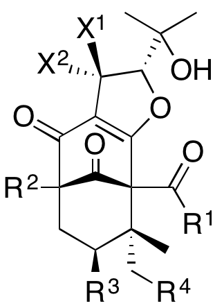 Structure 17: hypermongone C, garcinielliptone M, hyperformitin M and others — A, bicyclononanes, exo