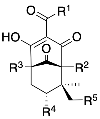 Structure 208: hyperpapuanone, laxifloranone, mesuaferroic acid H and others — B, bicyclononanes, endo