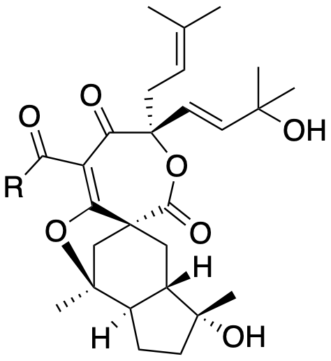Structure 400: hypehenol B, hypehenol C — caged, seco, spiroindanes