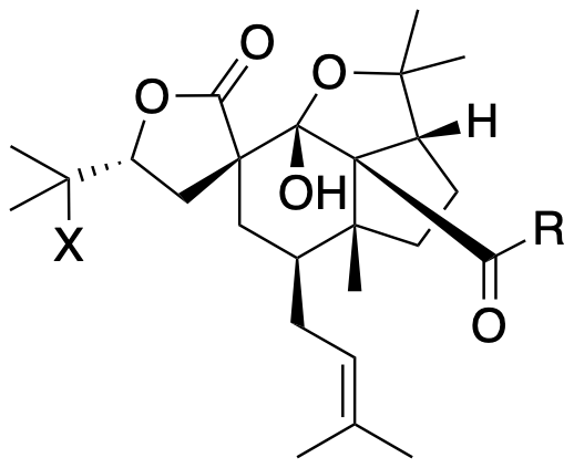 Structure 66: hyperatin D, hyperatin C, hyperatin B — A, bicyclononanes, exo