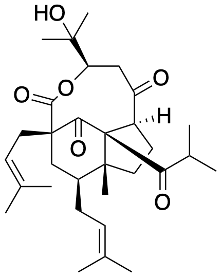 Structure 63: hyperforone G — A, bicyclononanes, exo