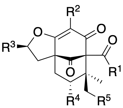 Structure 11: hyperacmosin J, hyperhimatin J, hyperioxide A and others — A, bicyclononanes, endo