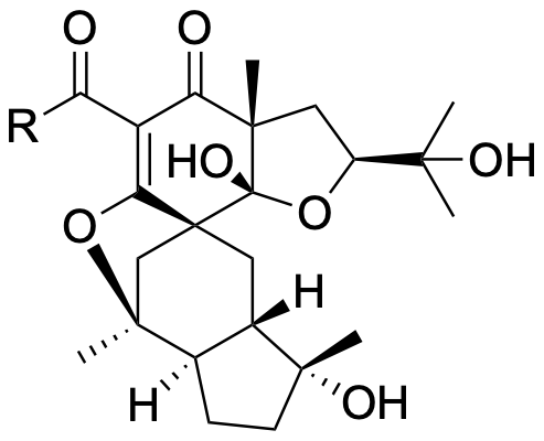 Structure 407: hypericumono D, spiropatuol E, spiropatuol F — caged, spiroindanes