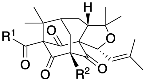 Structure 175: hyperhomanoon A, hyperhomanoon B, hypersampsone O and others — A, bicyclononanes, caged