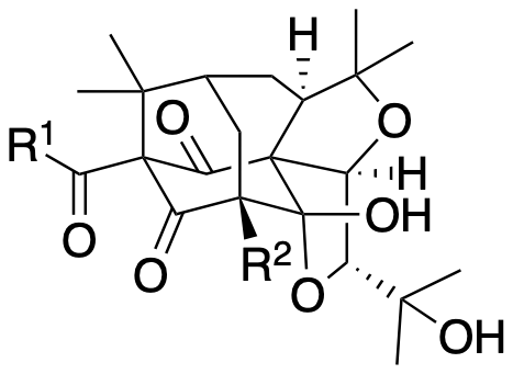 Structure 191: cumilcinol A, dioxasampsone B, hypersampsonone C and others — A, bicyclononanes, caged