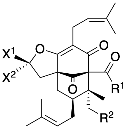 Structure 7: deoxyfurohyperforin A, furohyperforin A, mixture of epimers, hyperwilsone B and others — A, bicyclononanes, exo