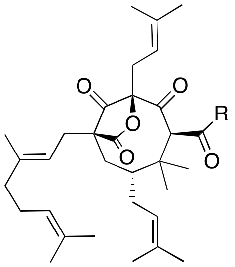 Structure 76: hyperuralone G, hyperuralone H — A, bicyclononanes, endo