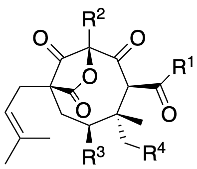 Structure 72: hyphenrone A, perforatumone, hyperuralone C and others — A, bicyclononanes, exo