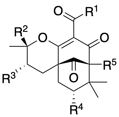 Structure 244: 13,14-didehydroxyisoxanthochymol, garcimultinone M, 14-deoxyisogarcinol and others — B, bicyclononanes, endo