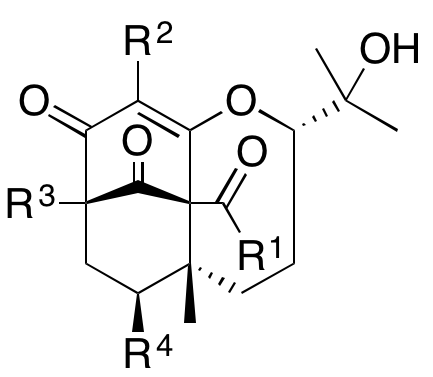 Structure 43: oxepahyperforin, uralione J, hyperforatone F and others — A, bicyclononanes, exo