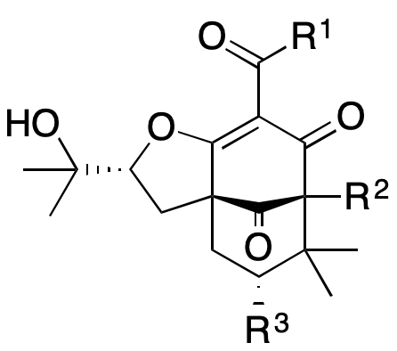 Structure 235: mesuaferroic acid B, mesuaferroic acid J, hyperattenin E and others — B, bicyclononanes, endo
