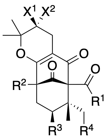 Structure 33: bellumone C, garcinielliptone B, hyperpatin F and others — A, bicyclononanes, exo