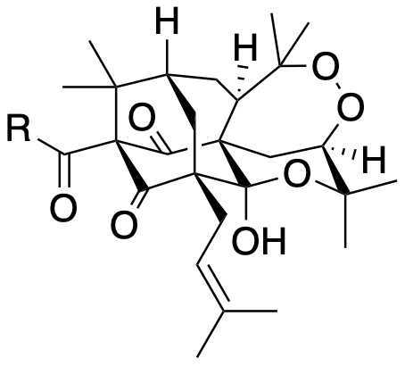 Structure 181: pyranohyperihirsan A, pyranohyperihirsan B — A, bicyclononanes, caged