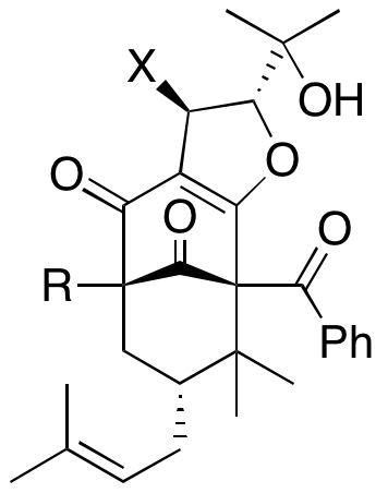 Structure 19: sampsonione M, garcimultiflorone M — A, bicyclononanes, endo