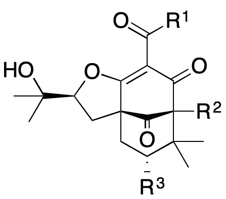 Structure 234: mesuaferroic acid A, mesuaferroic acid E, mesuaferroic acid C and others — B, bicyclononanes, endo