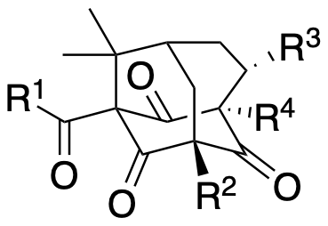 Structure 165: hirsutofolin A, peroxyhirsutofolin A, hyperesternoid V and others — A, bicyclononanes, caged