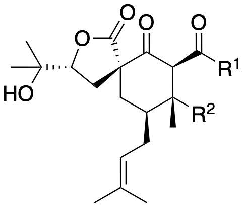 Structure 102: spirohypolactone B, norhyperpalum H, hyperisenin B — A, bicyclononanes, exo