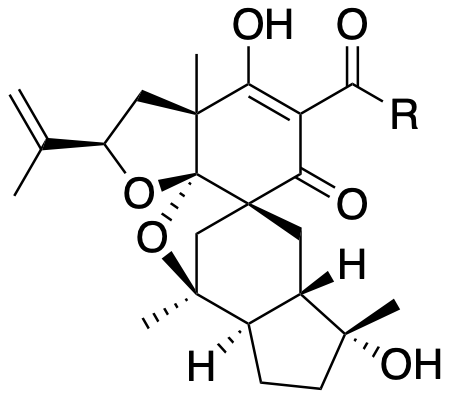 Structure 409: spiropatuol D, spiropatuol B, spiropatuol C — caged, spiroindanes