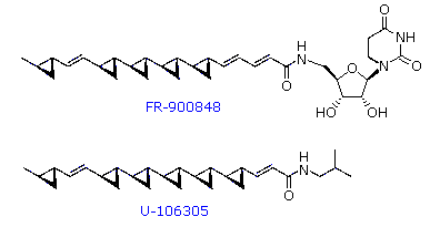 Virtual Textbook: Supplementary Topics 12 — Supplementary Topics 12, figure 10