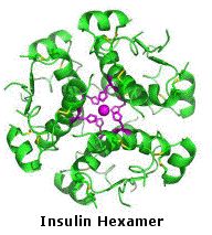 Virtual Textbook: Biomolecules — Peptides and Proteins, figure 29