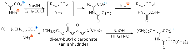 Virtual Textbook: Biomolecules — Amino Acids, figure 12