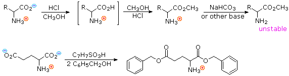 Virtual Textbook: Biomolecules — Amino Acids, figure 11