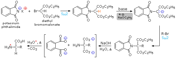 Virtual Textbook: Biomolecules — Amino Acids, figure 17