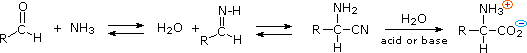 Virtual Textbook: Biomolecules — Amino Acids, figure 18