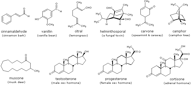Virtual Textbook: Carbonyl Reactivity — Carbonyl Reactivity 1, figure 4