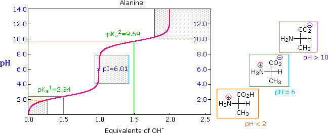 Virtual Textbook: Biomolecules — Amino Acids, figure 9