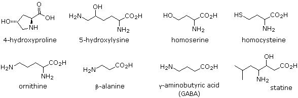 Virtual Textbook: Biomolecules — Amino Acids, figure 19