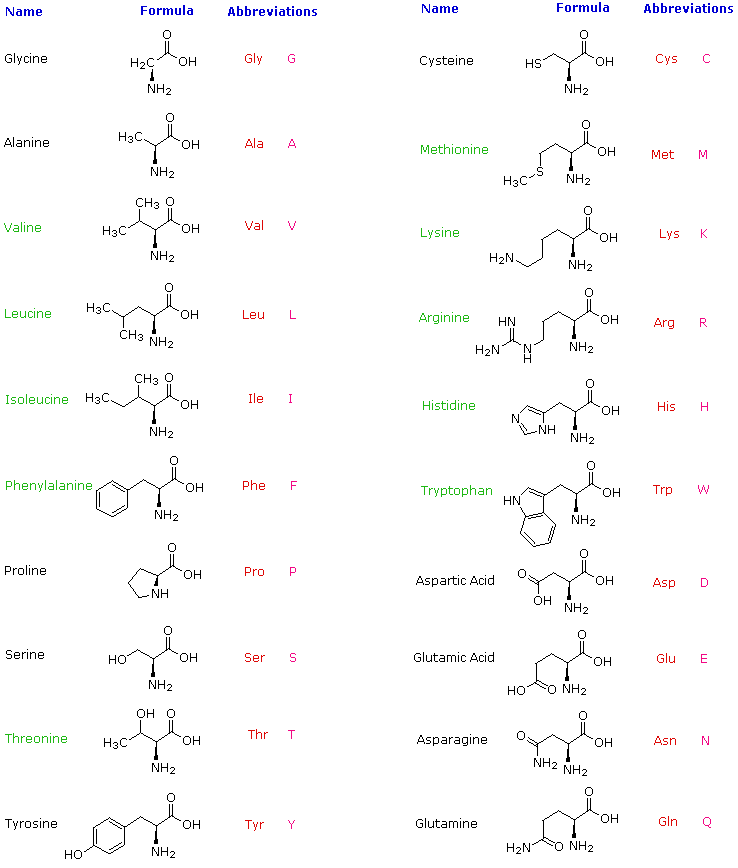 Virtual Textbook: Biomolecules — Amino Acids, figure 1