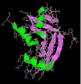 Virtual Textbook: Biomolecules — Peptides and Proteins, figure 21