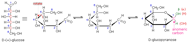 Virtual Textbook: Biomolecules — Carbohydrates, figure 13