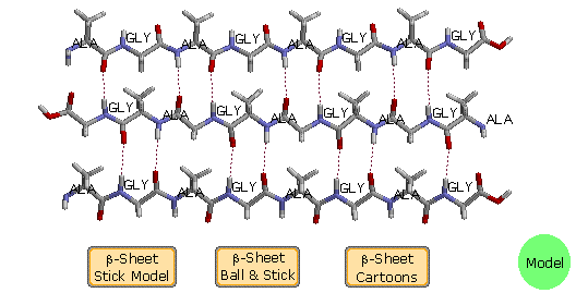 Virtual Textbook: Biomolecules — Peptides and Proteins, figure 18