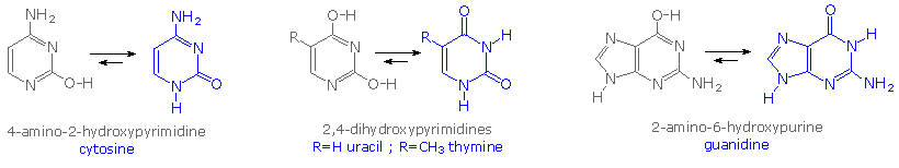 Virtual Textbook: Biomolecules — Nucleic Acids, figure 4