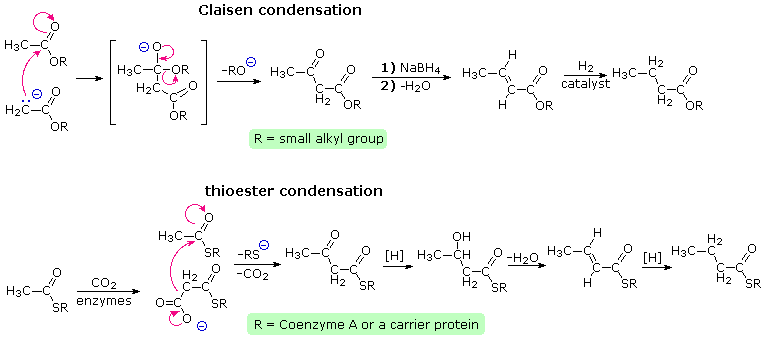 Virtual Textbook: Biomolecules — Lipids, figure 22