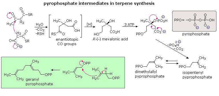 Virtual Textbook: Biomolecules — Lipids, figure 25