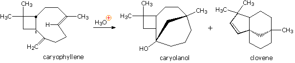 Virtual Textbook: Rearrangement Reactions — Cationic Rearrangements, figure 6