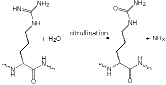 Virtual Textbook: Biomolecules — Nucleic Acids, figure 18