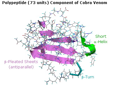 Virtual Textbook: Biomolecules — Peptides and Proteins, figure 19