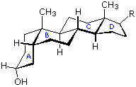 Virtual Textbook: Biomolecules — Lipids, figure 19
