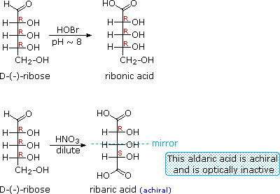 Virtual Textbook: Biomolecules — Carbohydrates, figure 4