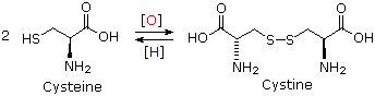 Virtual Textbook: Biomolecules — Amino Acids, figure 15