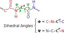 Virtual Textbook: Biomolecules — Peptides and Proteins, figure 16